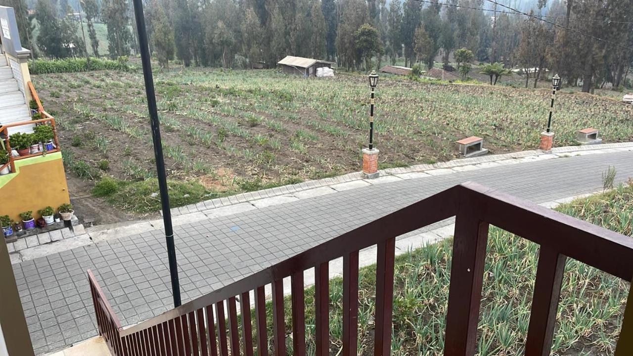Bromo Semesta Guesthouse بروبولينغو المظهر الخارجي الصورة
